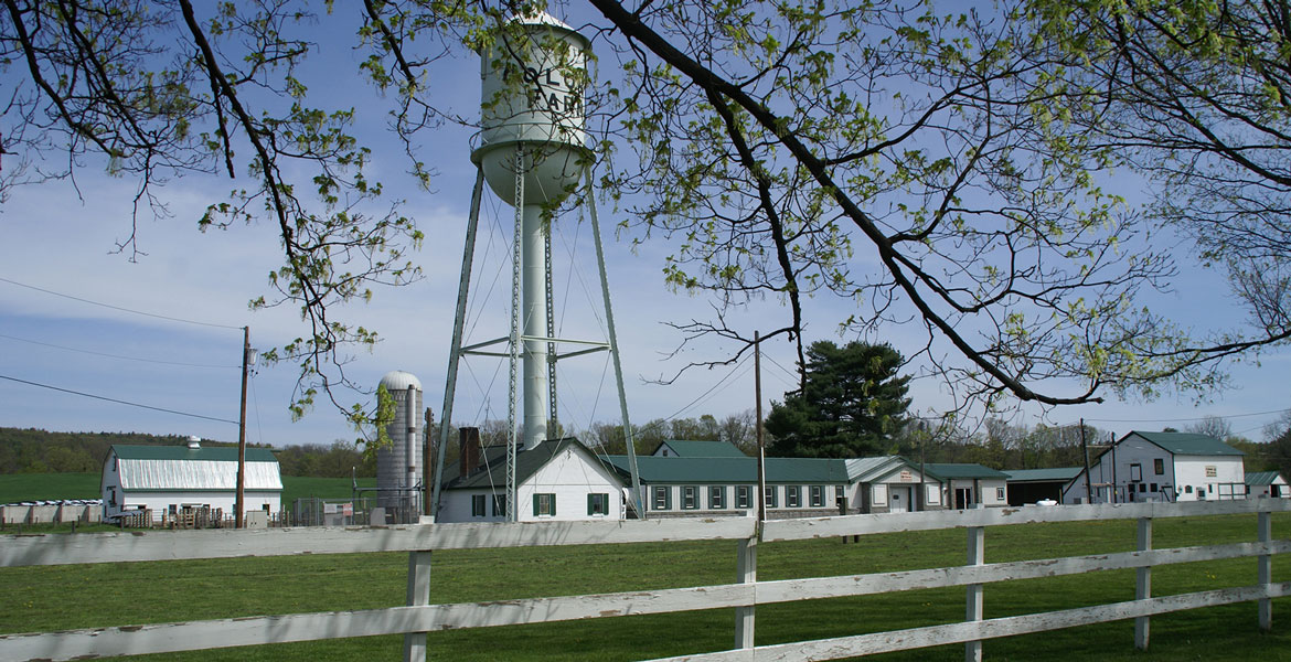 Wawarsing, Colony Farm