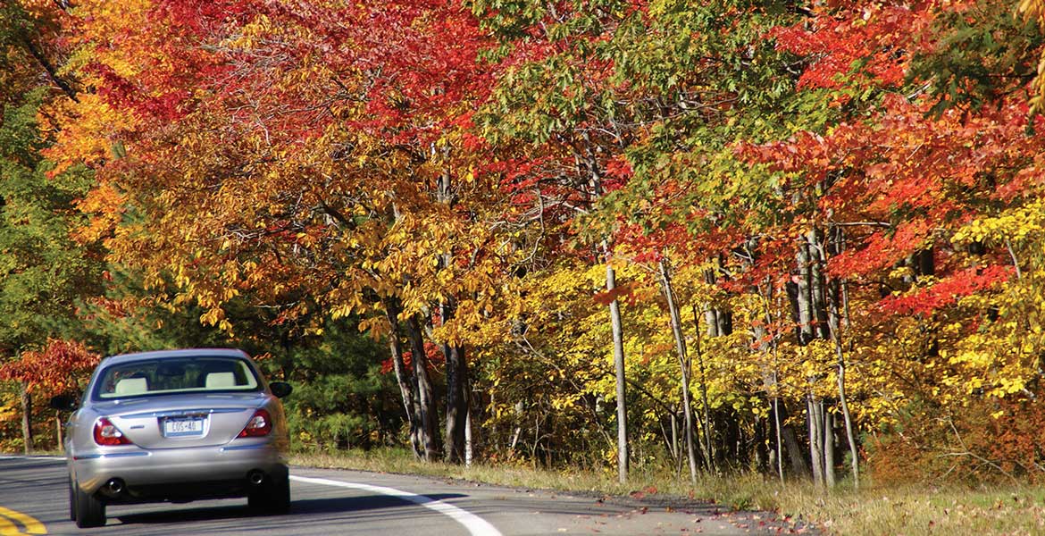 Rt. 44/55 Autumn Drive